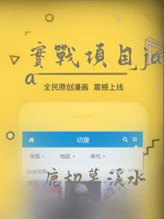 实战项目java