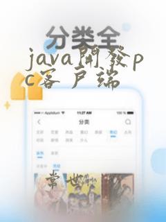java开发pc客户端