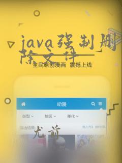 java强制删除文件