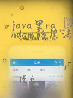 java里random的用法
