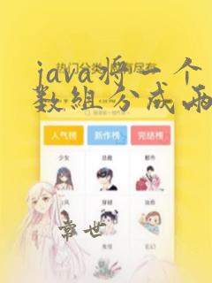 java将一个数组分成两个数组