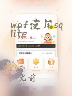 wpf使用sqlite