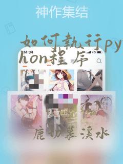 如何执行python程序
