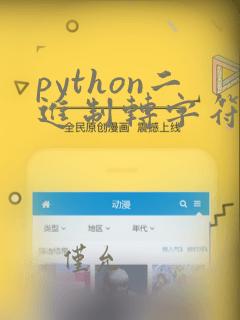 python二进制转字符