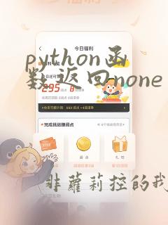 python函数返回none