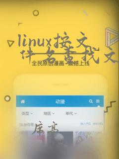 linux按文件名查找文件