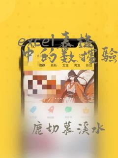 excel表格中的数据验证