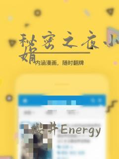 秘密之夜小说小娟：结局+番外