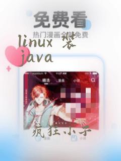 linux 装java