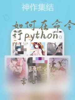 如何在命令行运行python