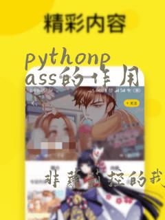 pythonpass的作用
