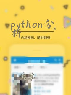 python分析