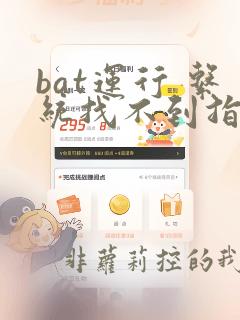 bat运行 系统找不到指定的文件