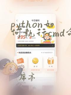 python如何执行cmd命令
