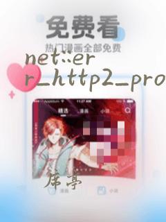 net::err_http2_protocol_error 翻译