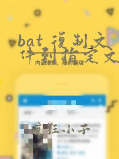 bat 复制文件到指定文件夹