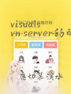 visualsvn server的配置和使用方法