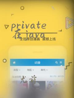 private在java