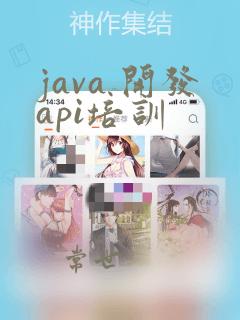 java 开发api培训