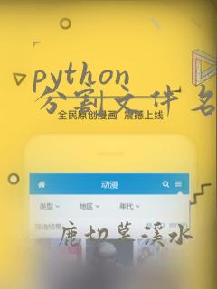 python 分割文件名