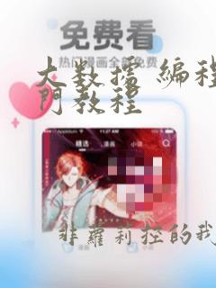 大数据 编程入门教程