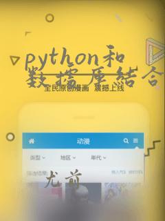 python和数据库结合的项目