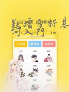 数据分析基础如何入门