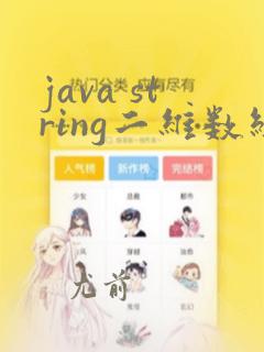java string二维数组