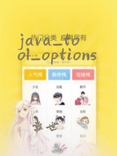 java_tool_options