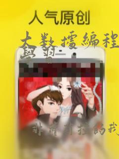 大数据编程软件学习