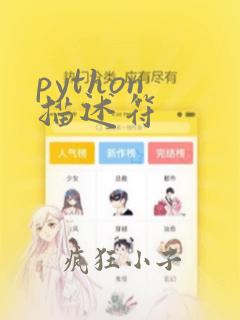 python 描述符