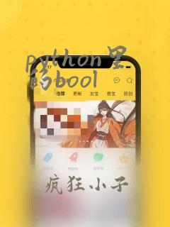 python里的bool