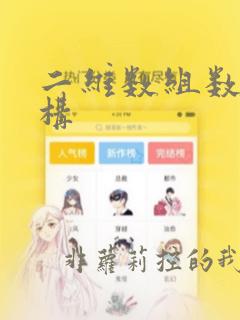 二维数组数据结构