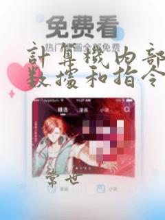 计算机内部处理数据和指令的编码是什么