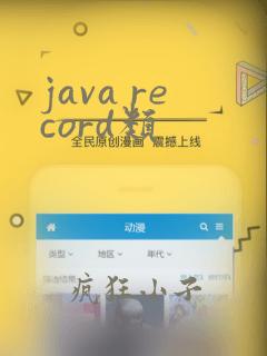 java record类