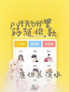 python里的随机数
