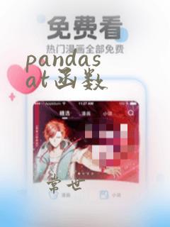 pandas at函数