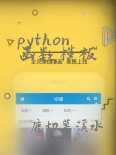 python 函数模板