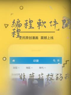 编程软件开发课程