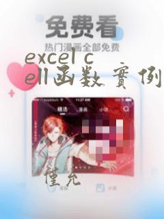 excel cell函数实例