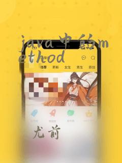 java中的method