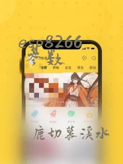 esp8266 参数
