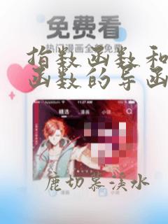 指数函数和对数函数的导函数