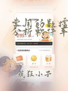 常用的数据统计分析软件平台有