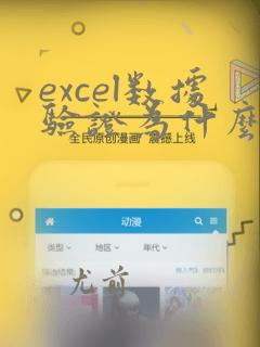 excel数据验证为什么找不到