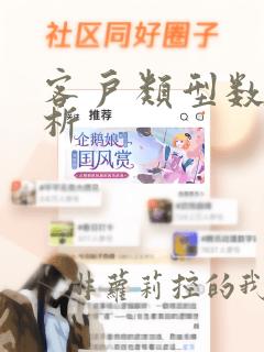 客户类型数据分析