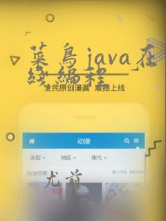 菜鸟java在线编程