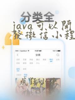 java可以开发微信小程序码