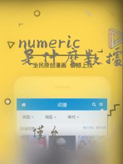numeric是什么数据类型