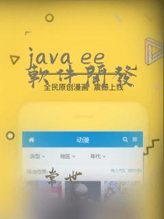 java ee软件开发